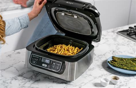 ninja health grill and air fryer recipes
